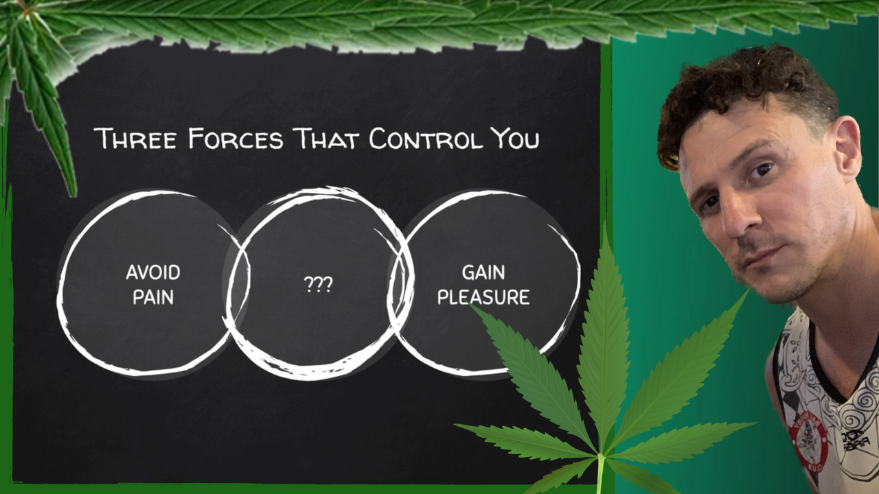 The Pleasure Trap (3 Forces Control You)